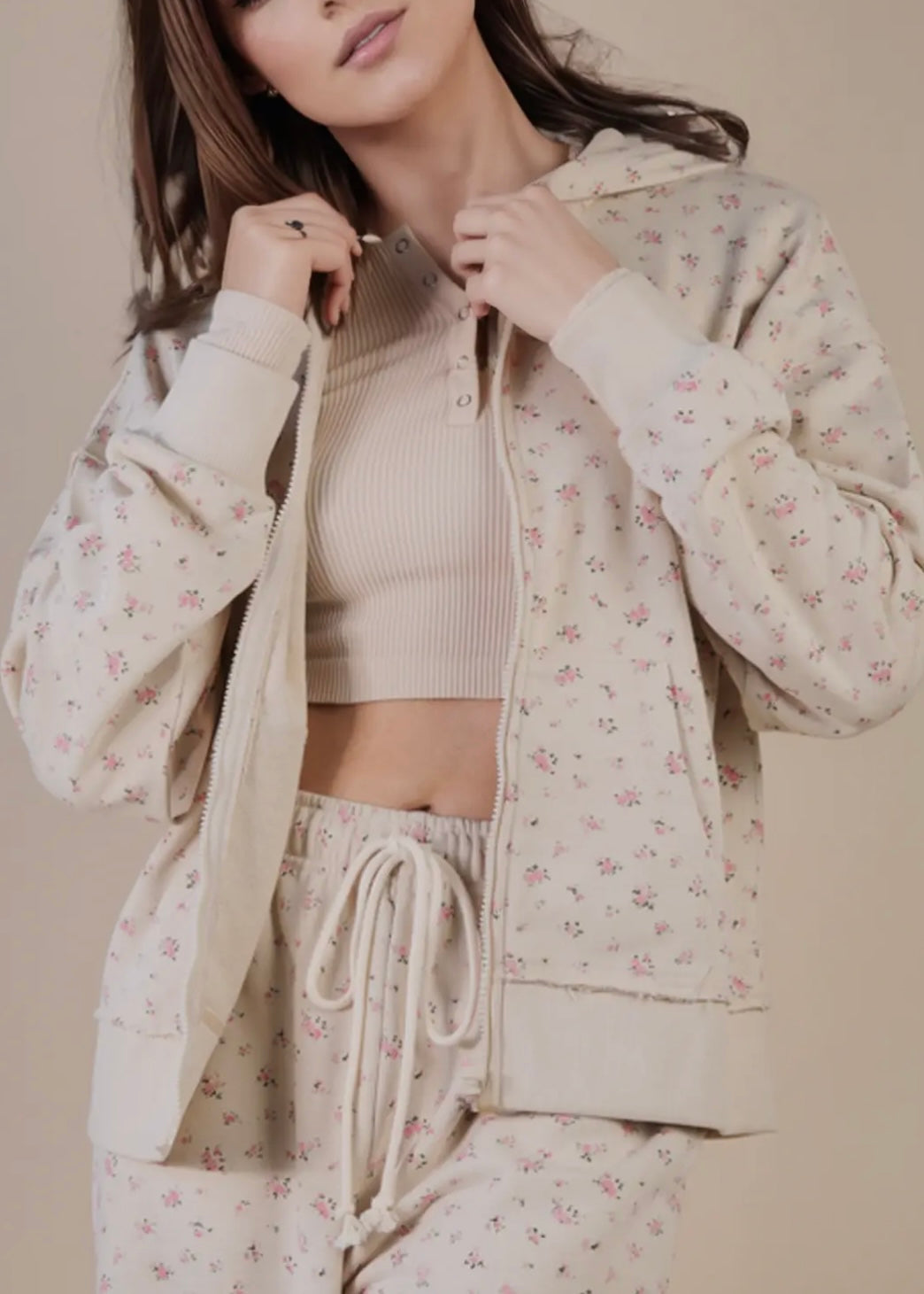 Aster Zip Up Hoodie Sweatshirt