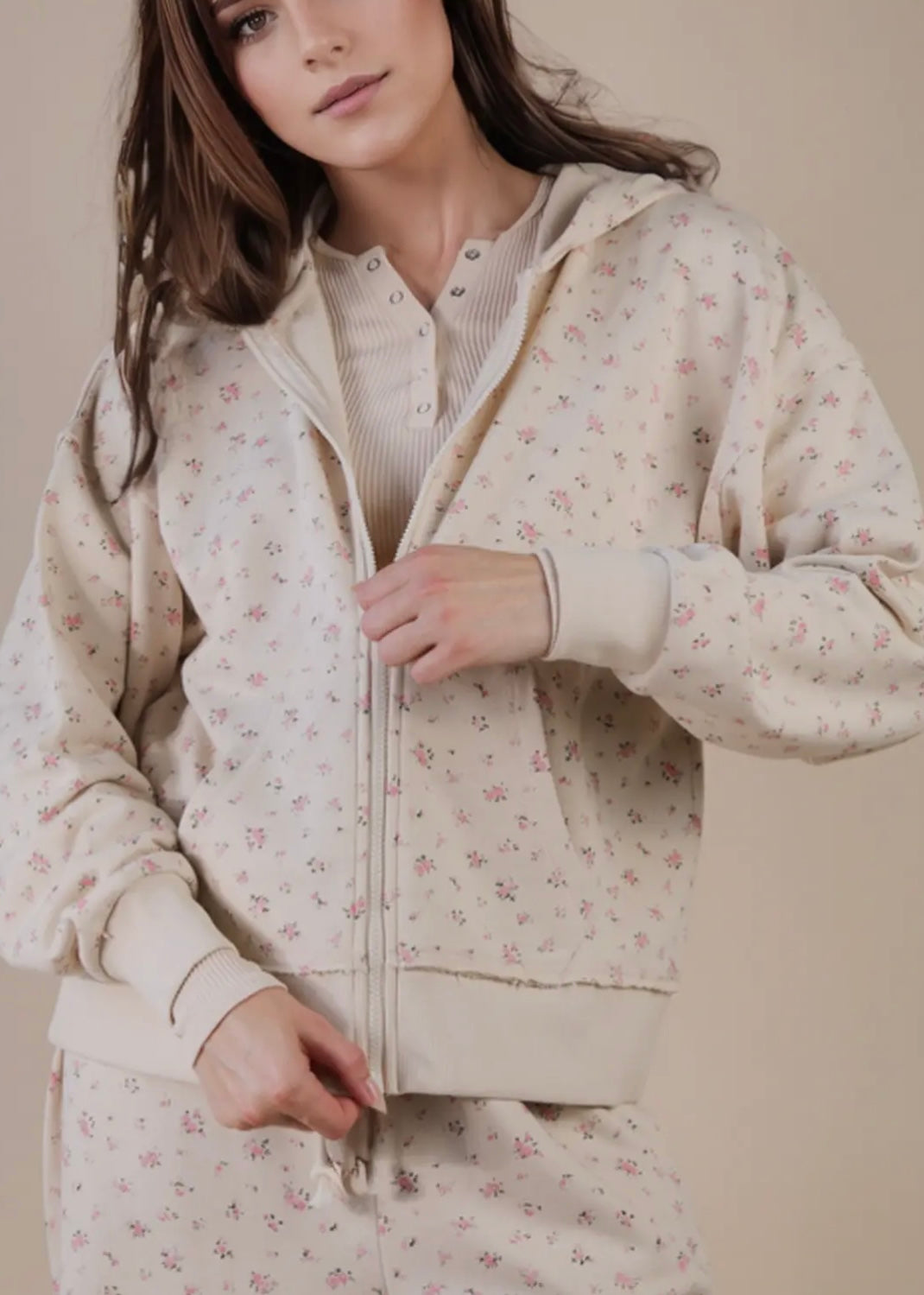 Aster Zip Up Hoodie Sweatshirt