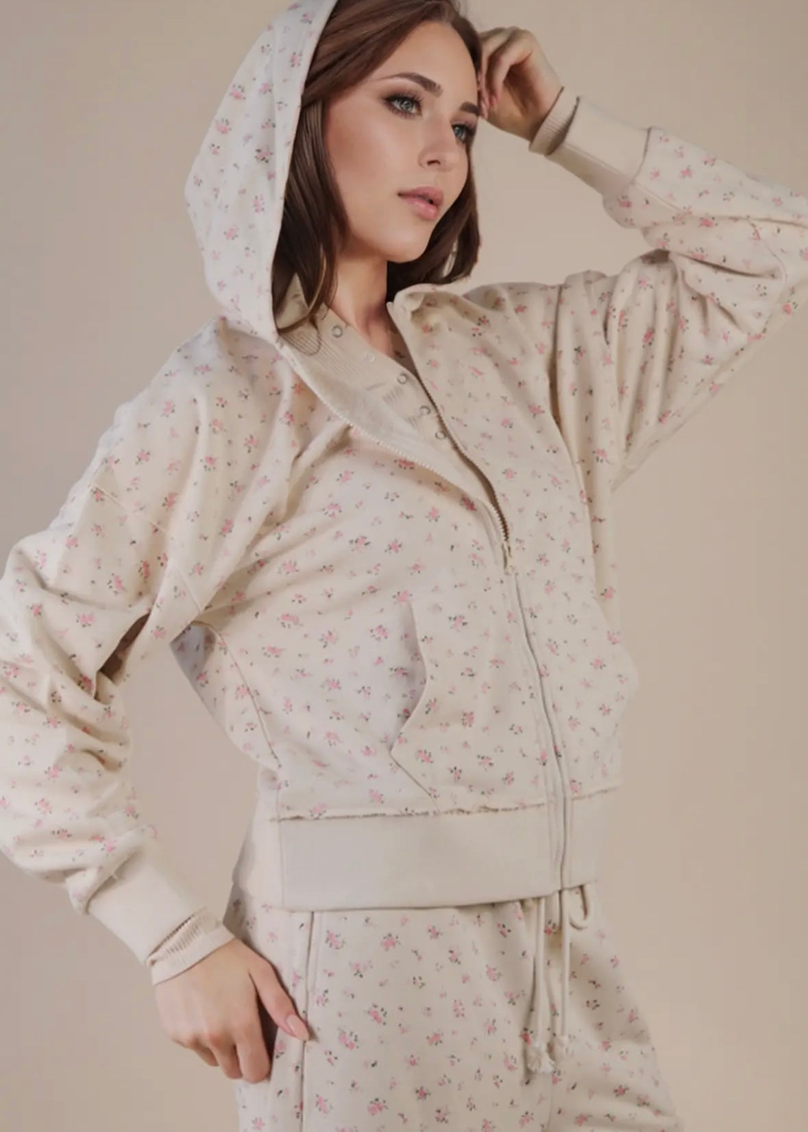 Aster Zip Up Hoodie Sweatshirt