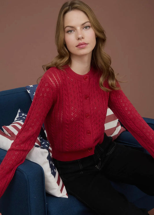 Ariana Pointelle Sweater